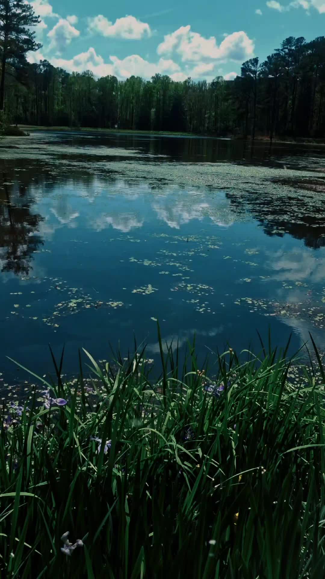 @Dawn