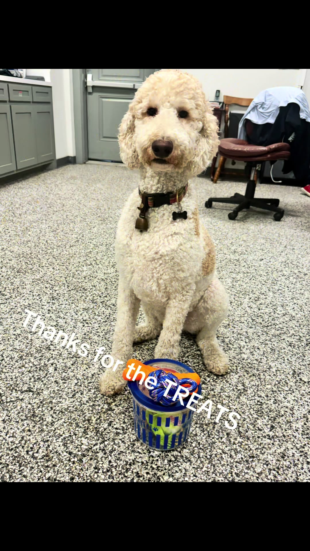 @bigdoodleandlittledoodle