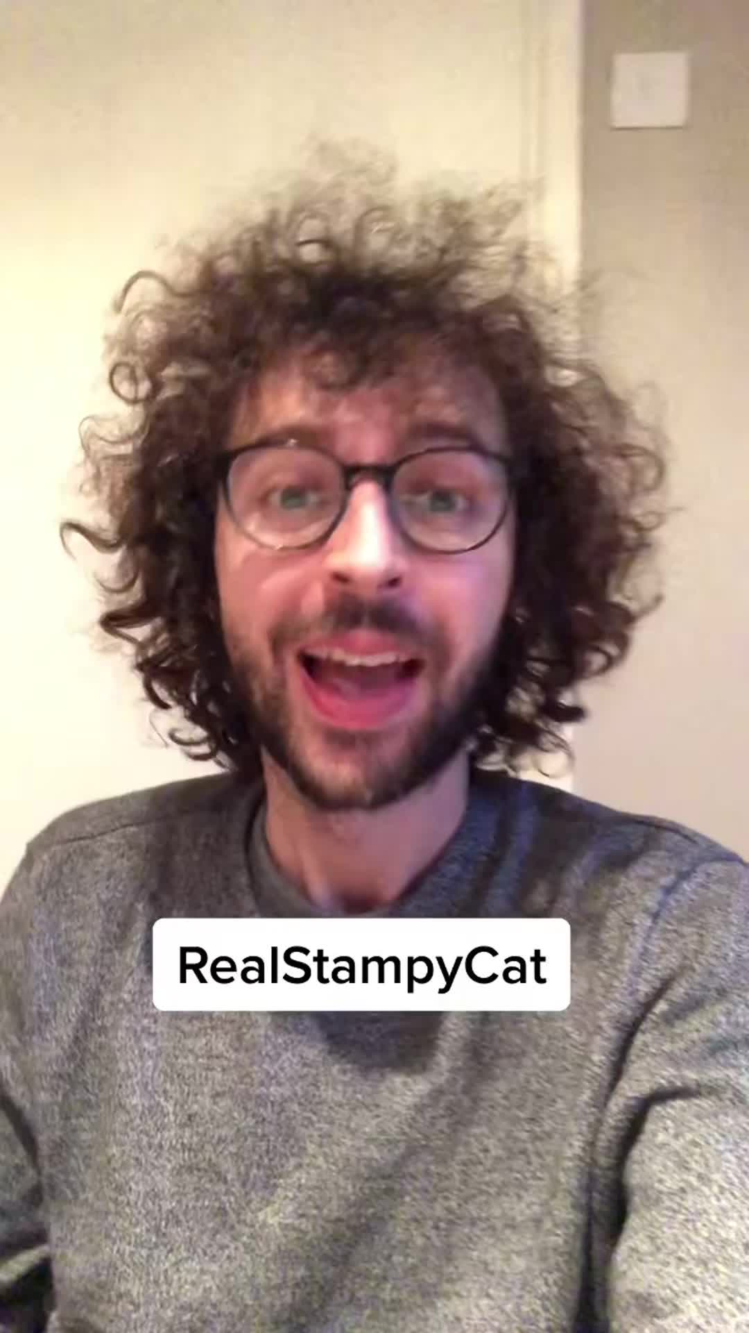@Stampy Cat