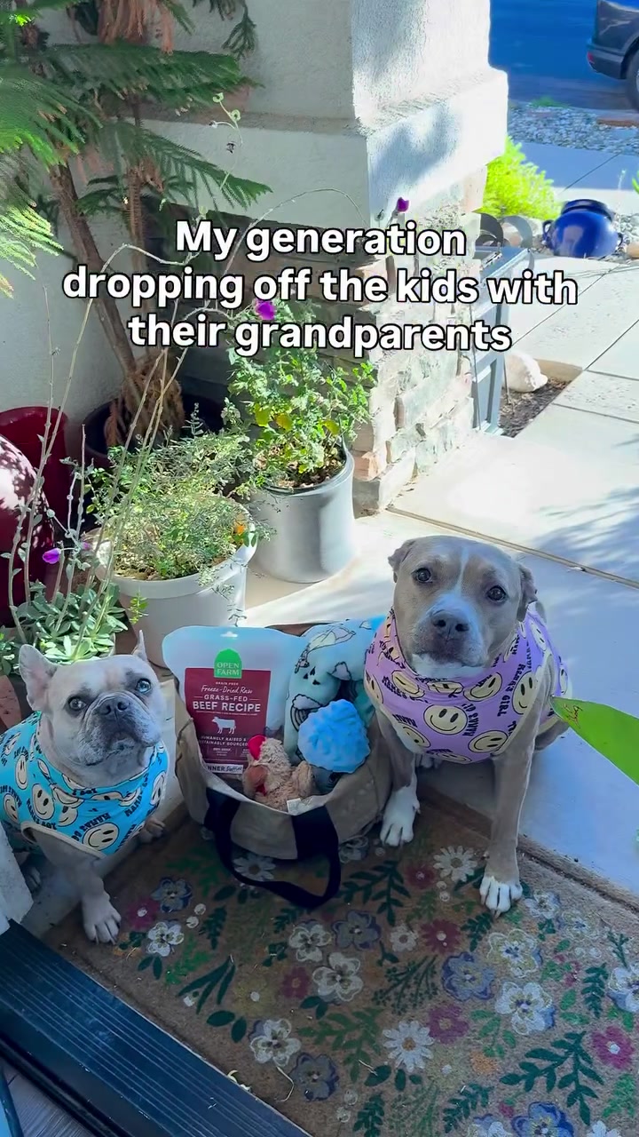 @Indie.pittie