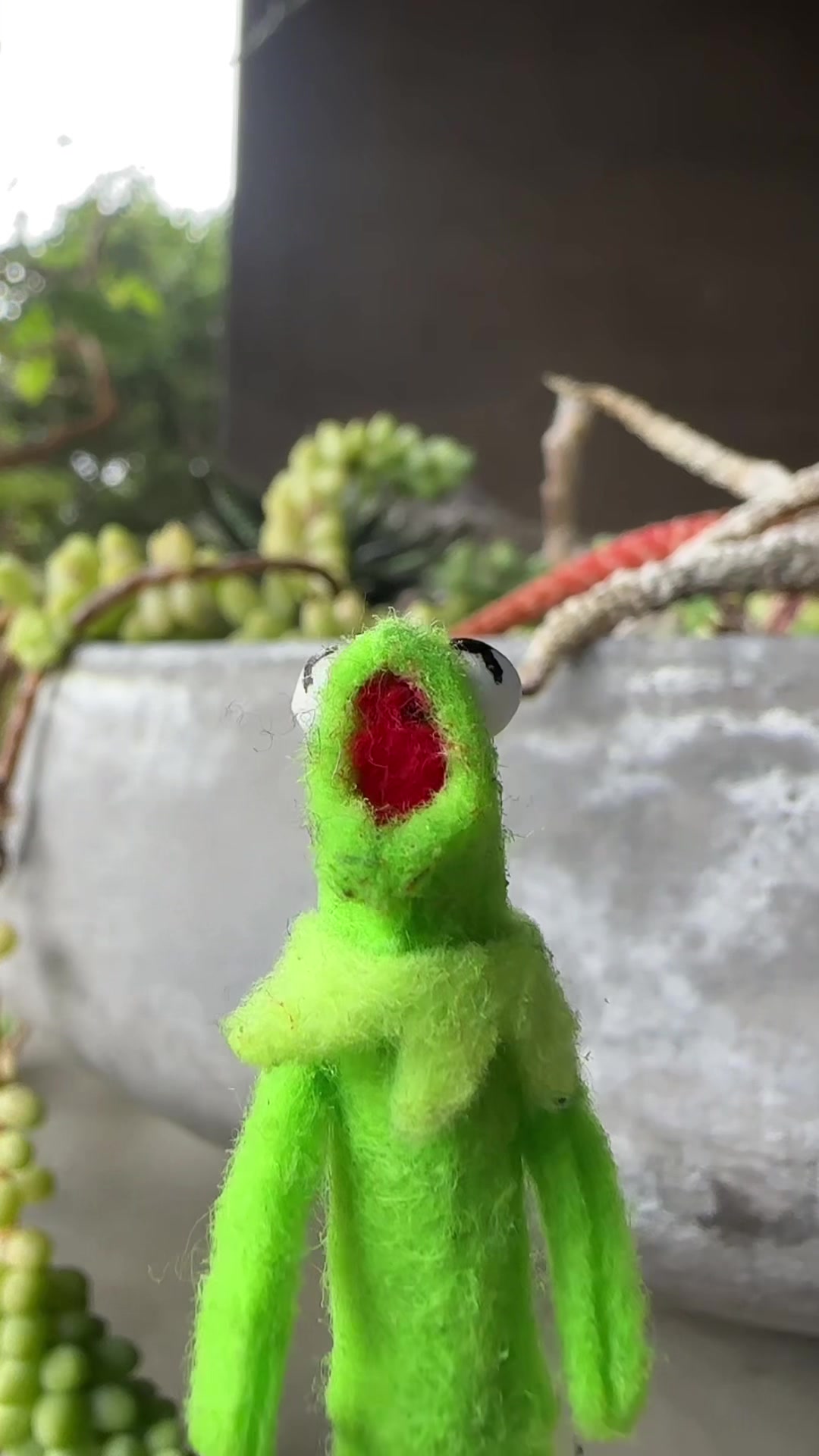 @🐸 Crashout Kermy 🐸