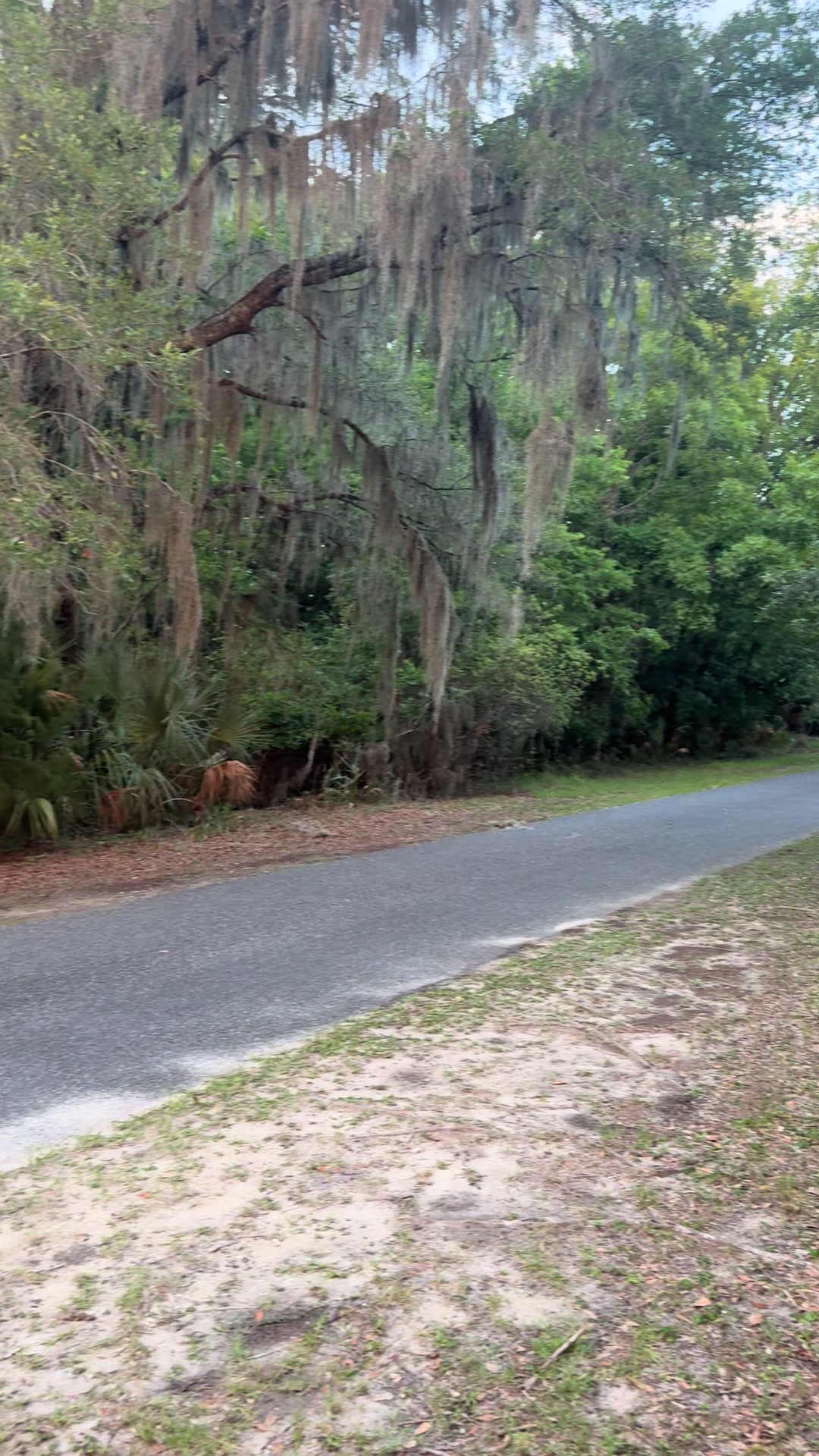 @TownsNTrails