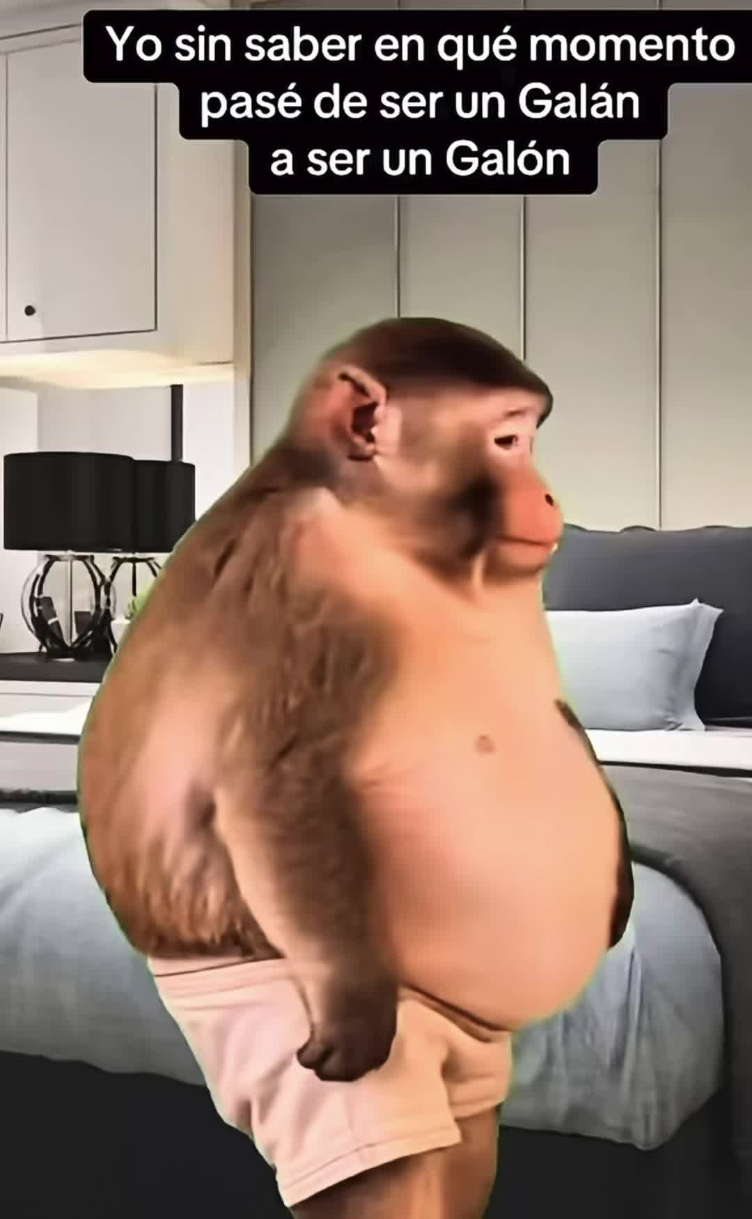 @Kamilo Martinez