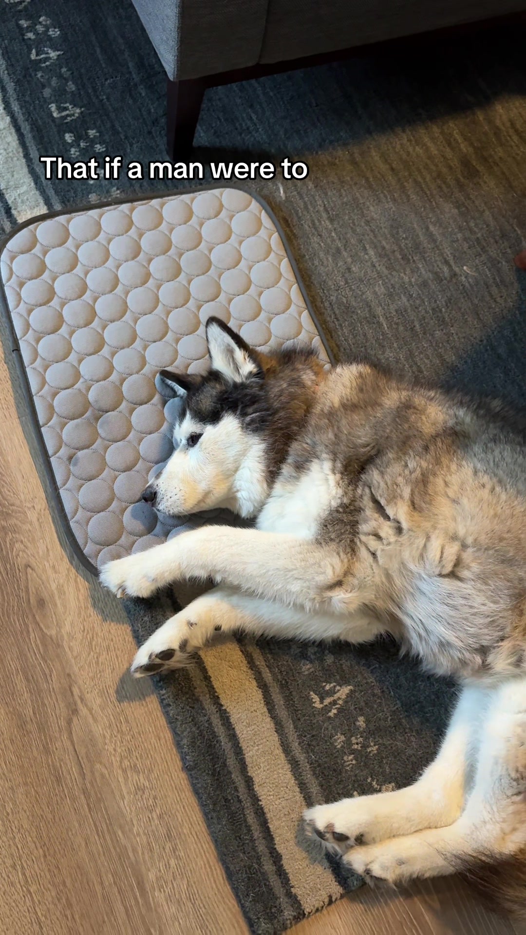 @and Luna 🐺