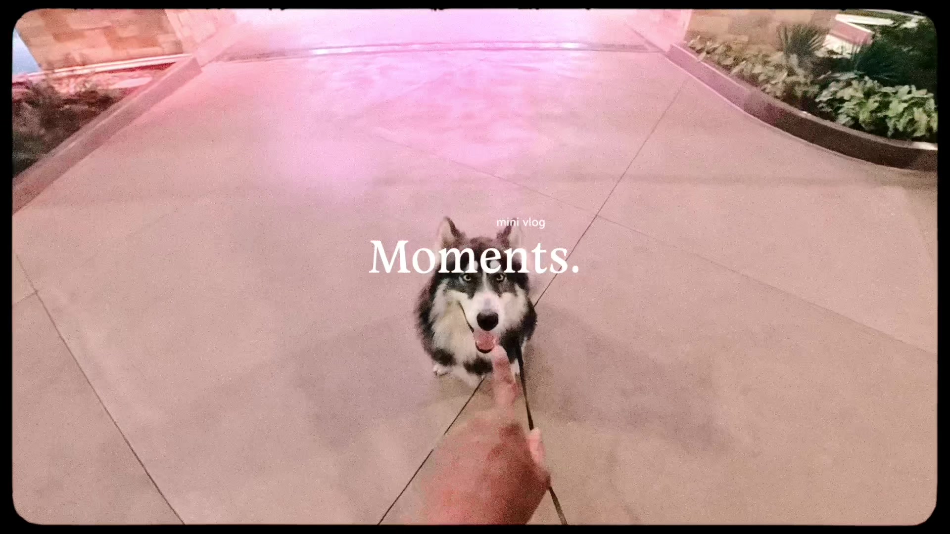 @Neko, Tokahli and Bear