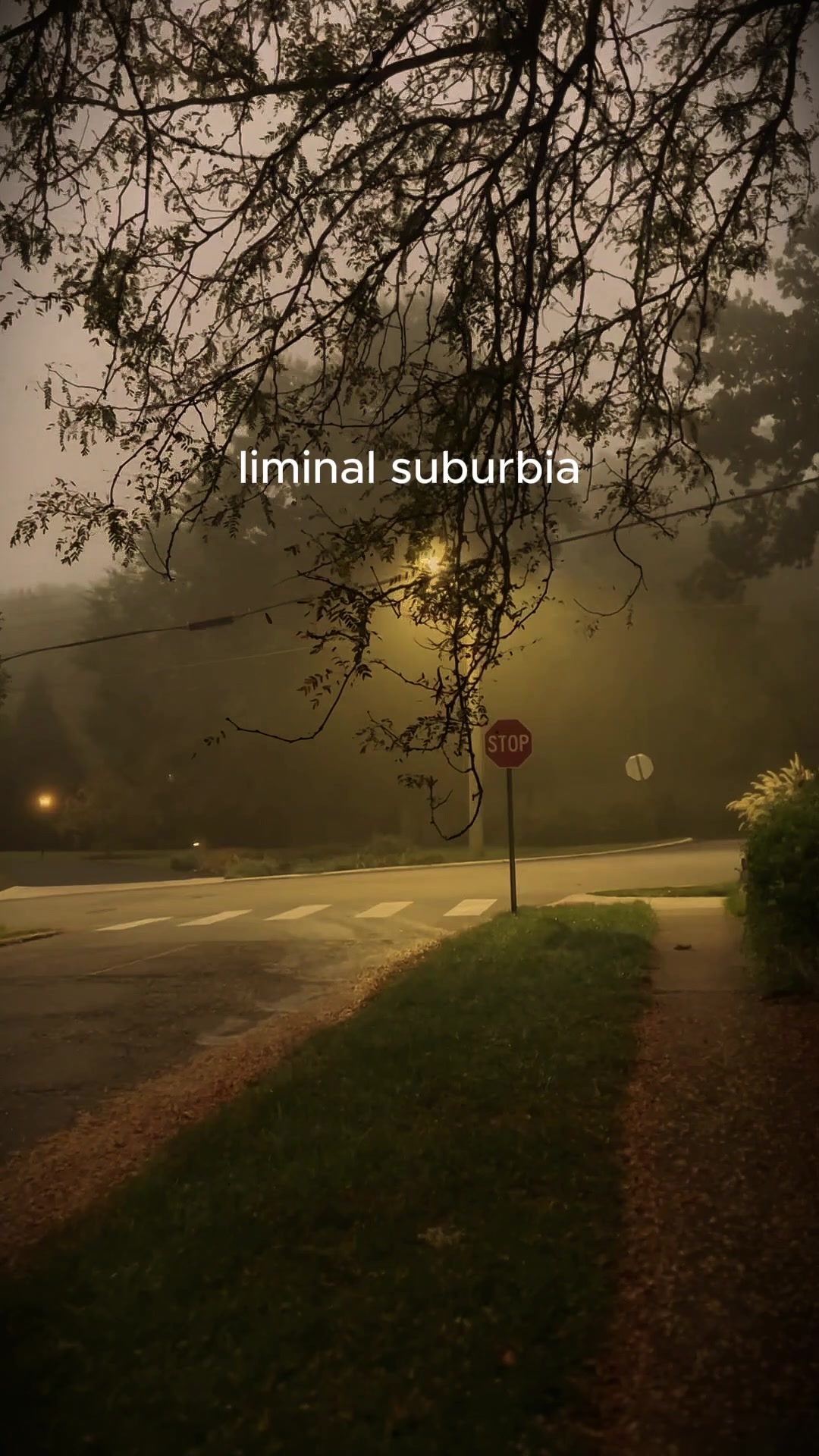 @abitspooky