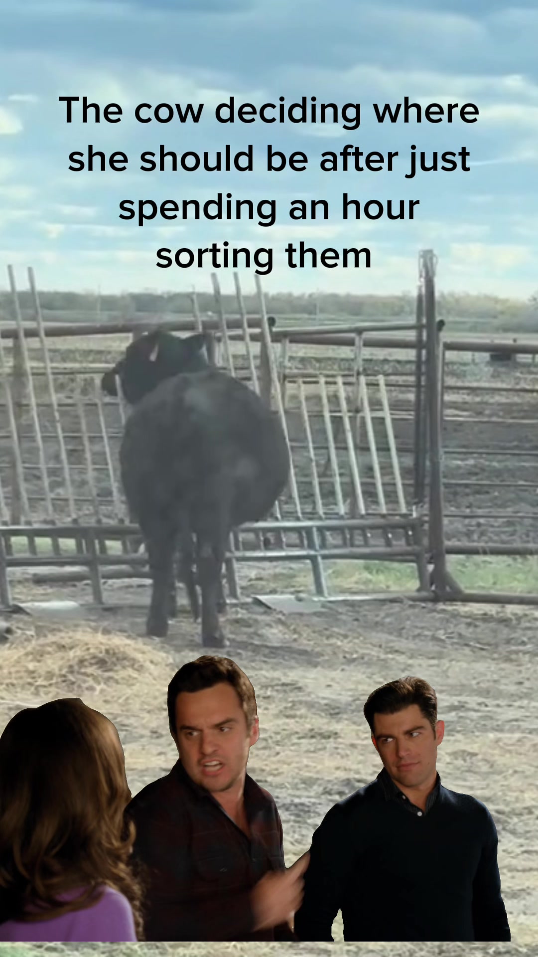 @cattleman840