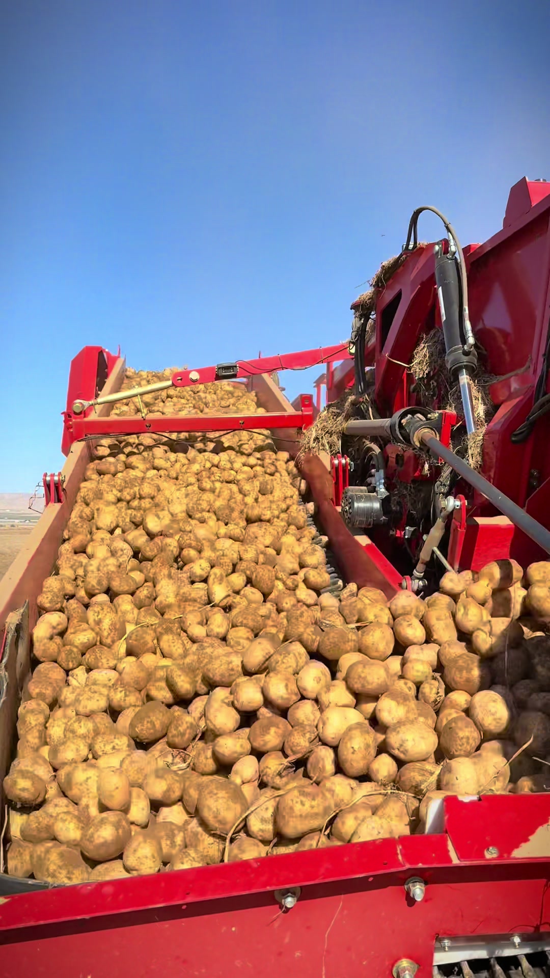 @American_farm