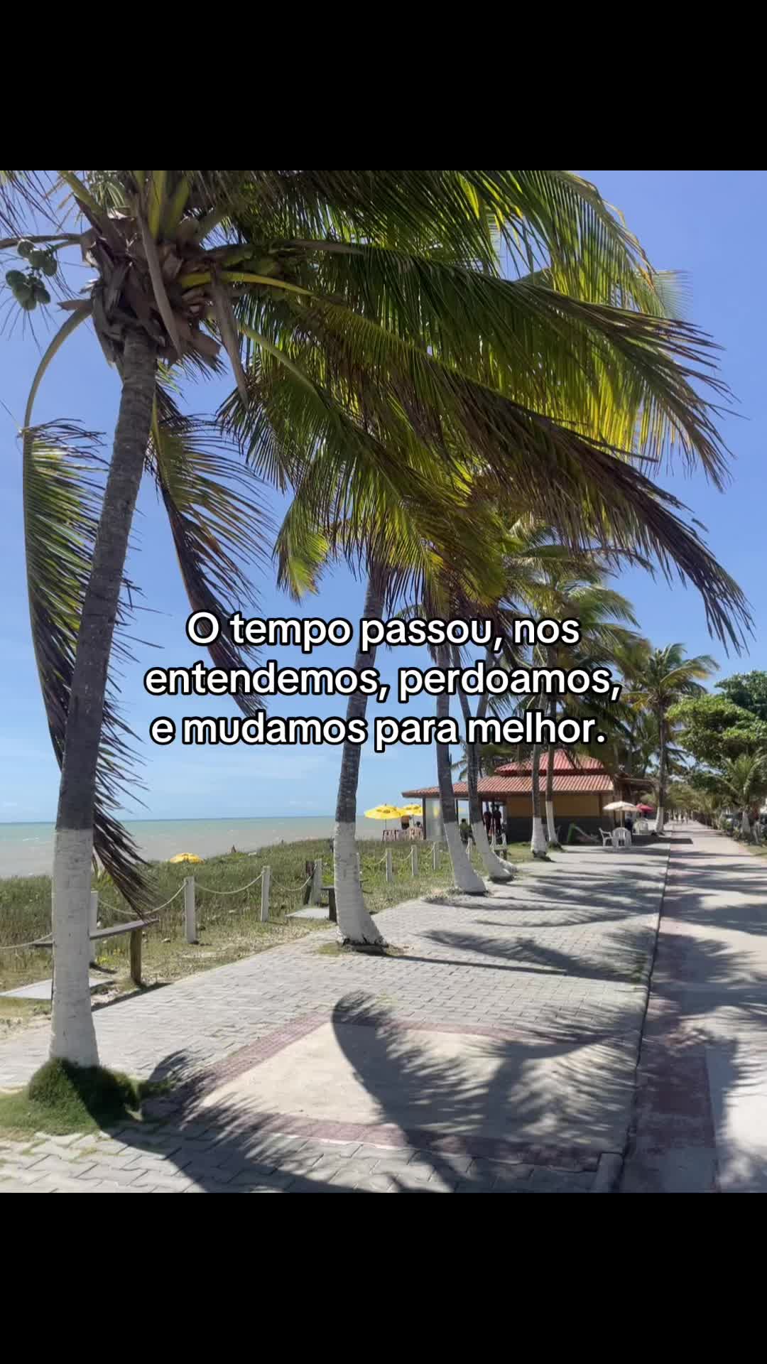 @Iris Emanuelle