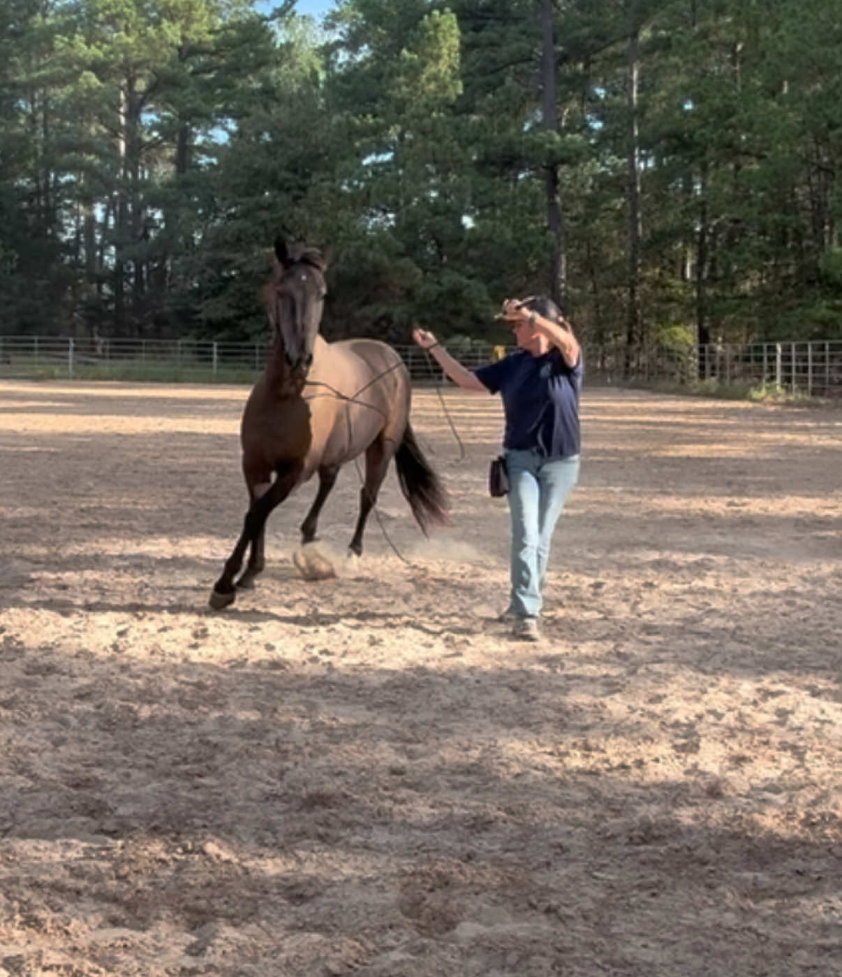 @Kjackson 🐴❤️
