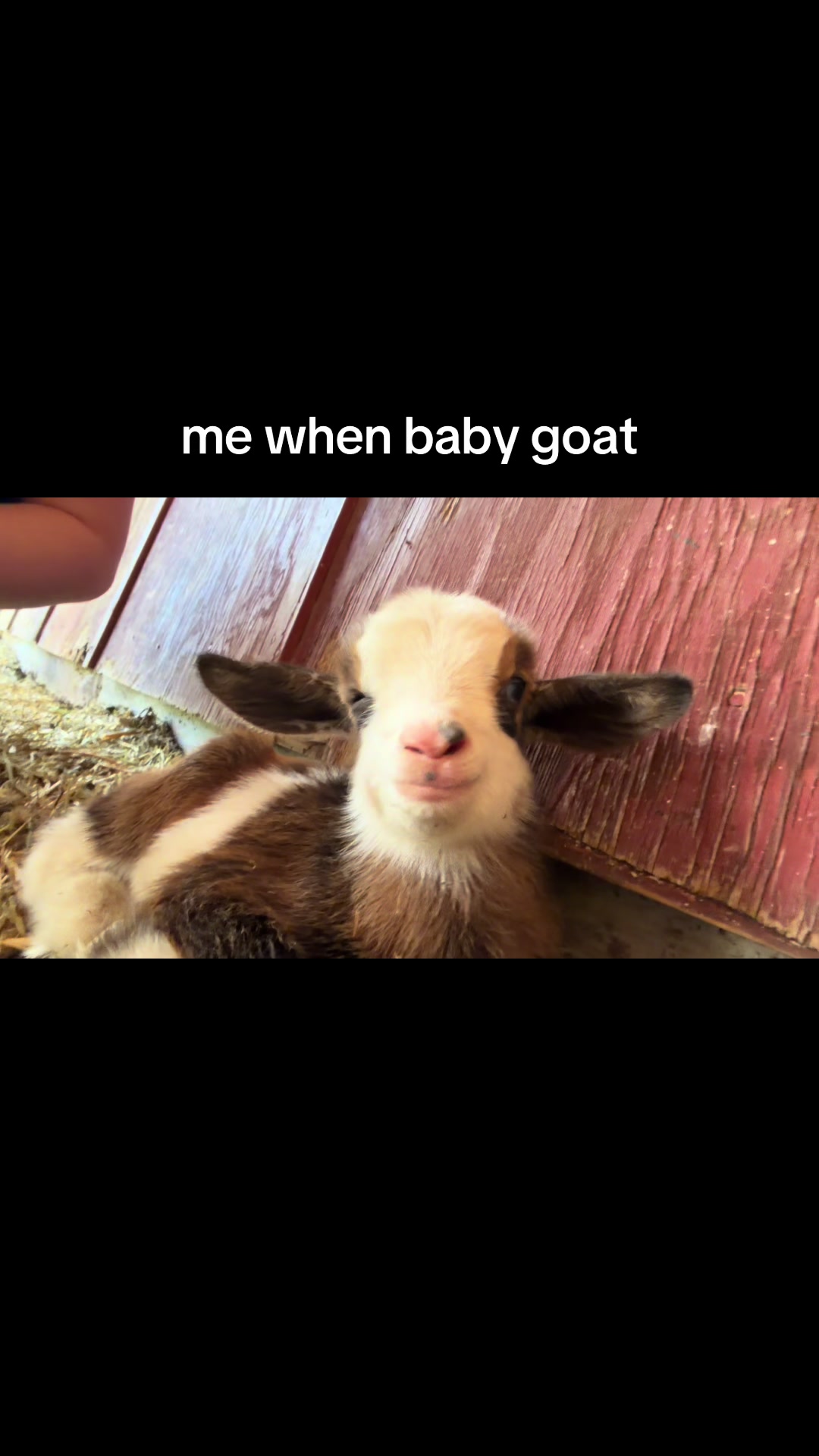 @kayelee