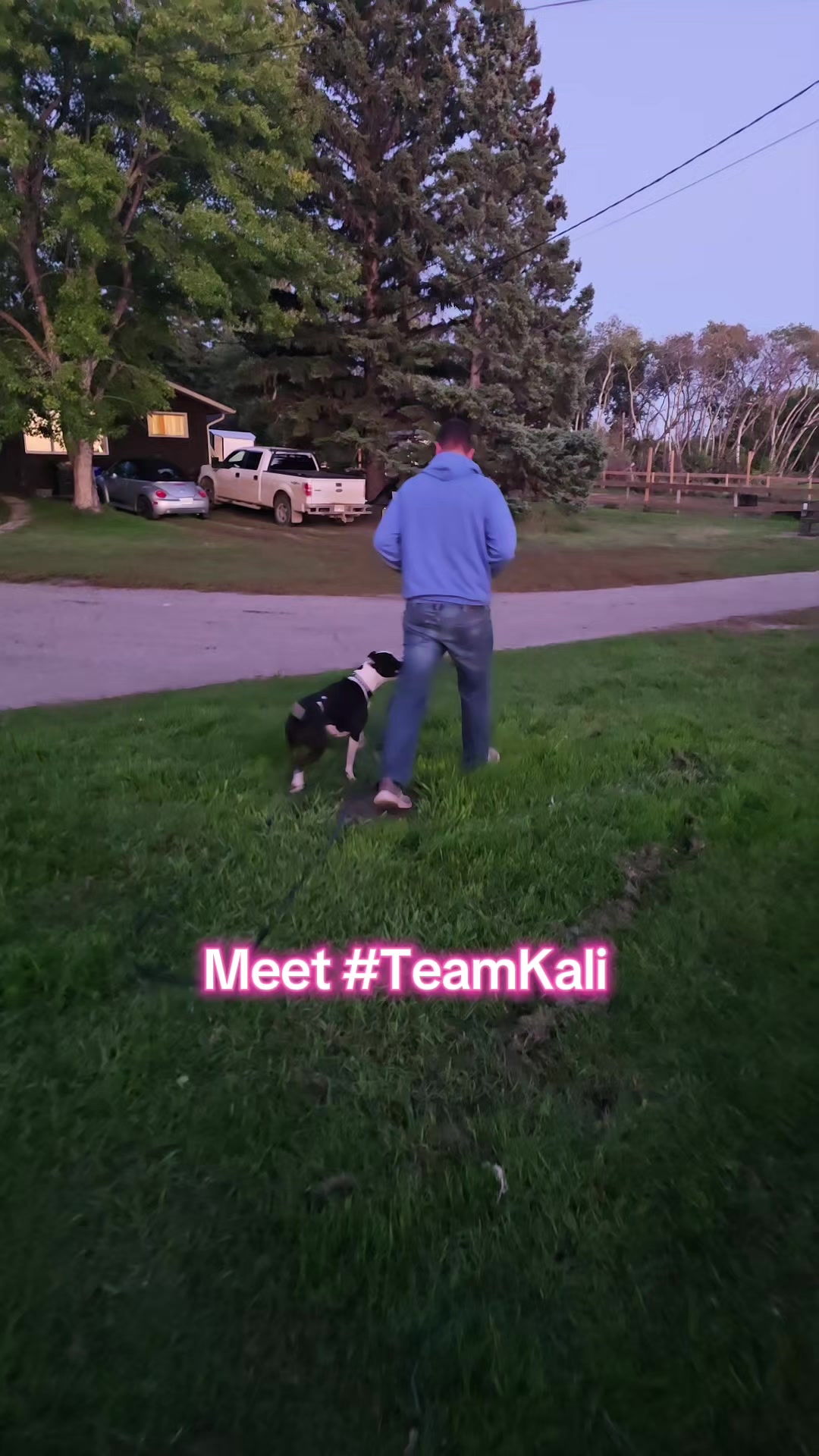 @Kairo's K9s Training 🇨🇦