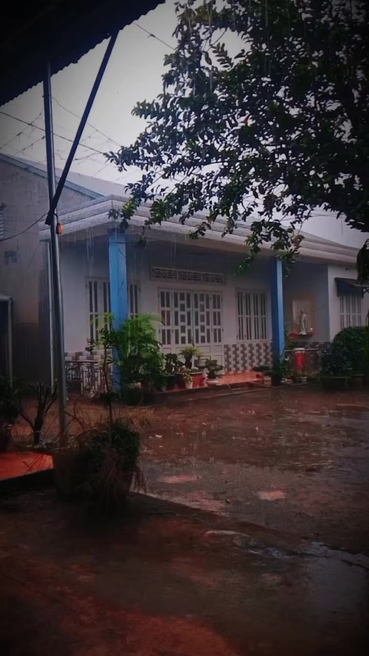 @Tầng