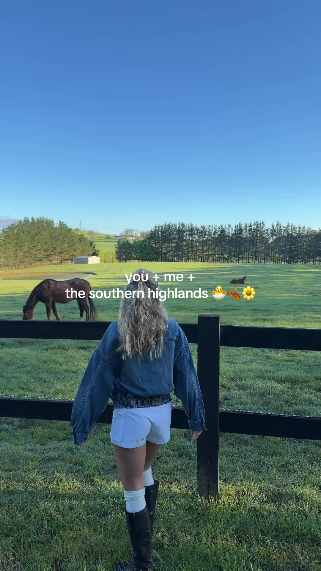 @Victoria 🦋