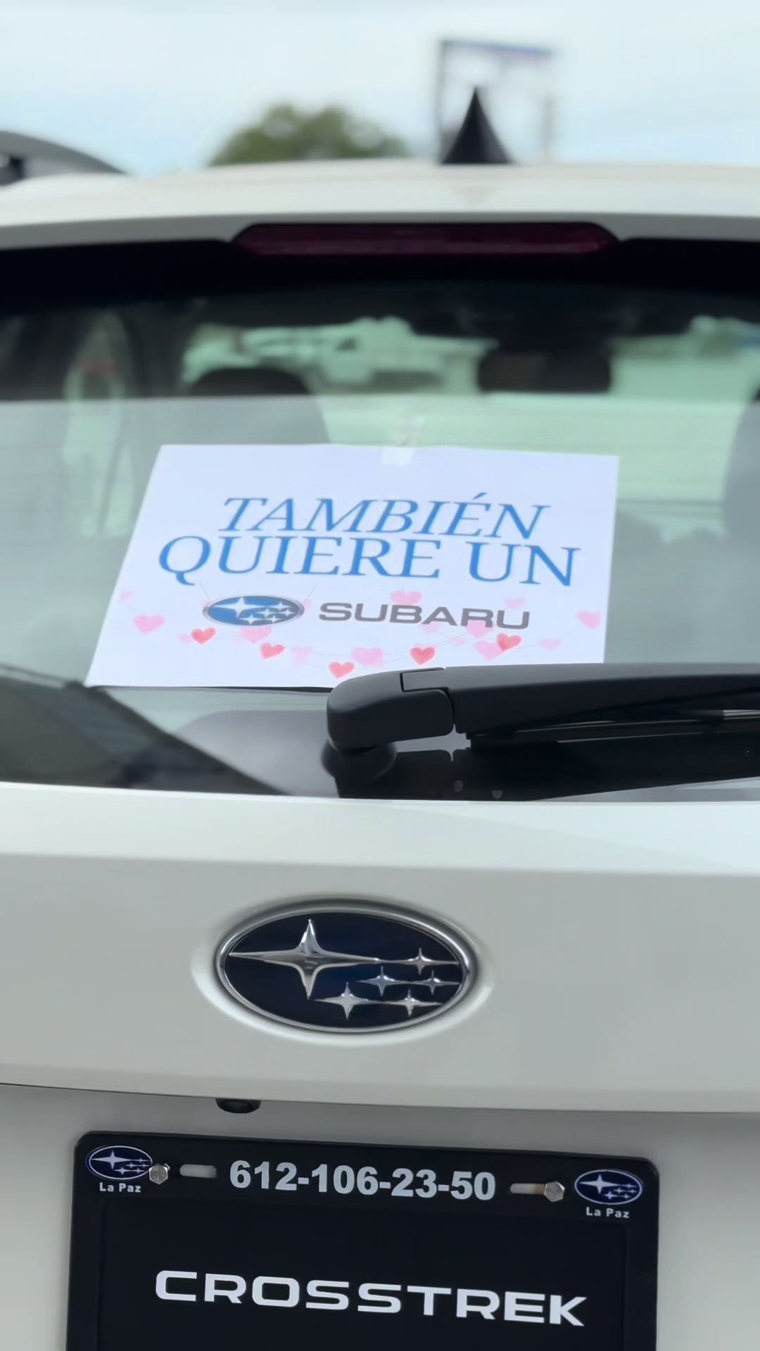 @Subaru Baja Sur