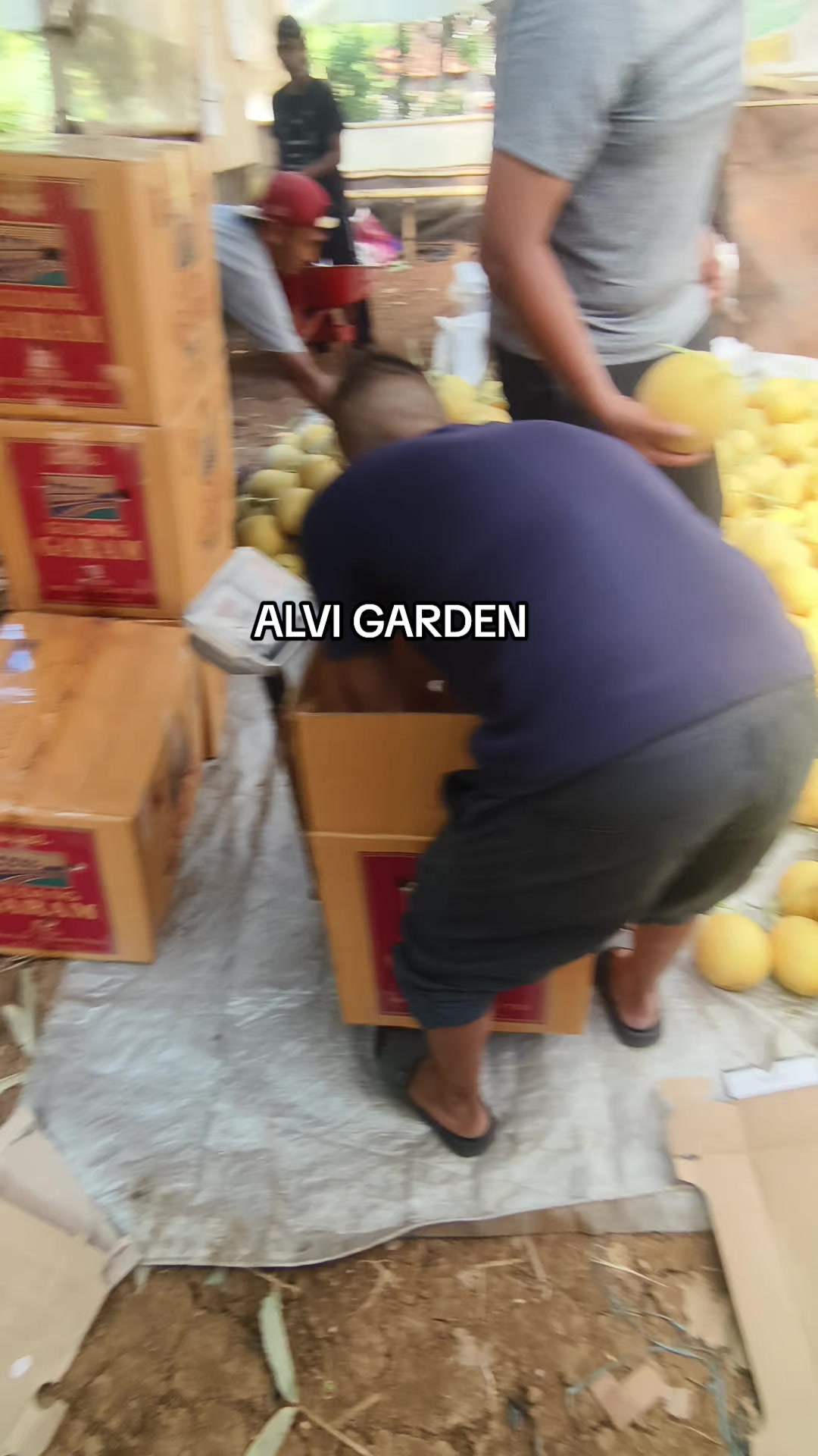 @Alvi Garden
