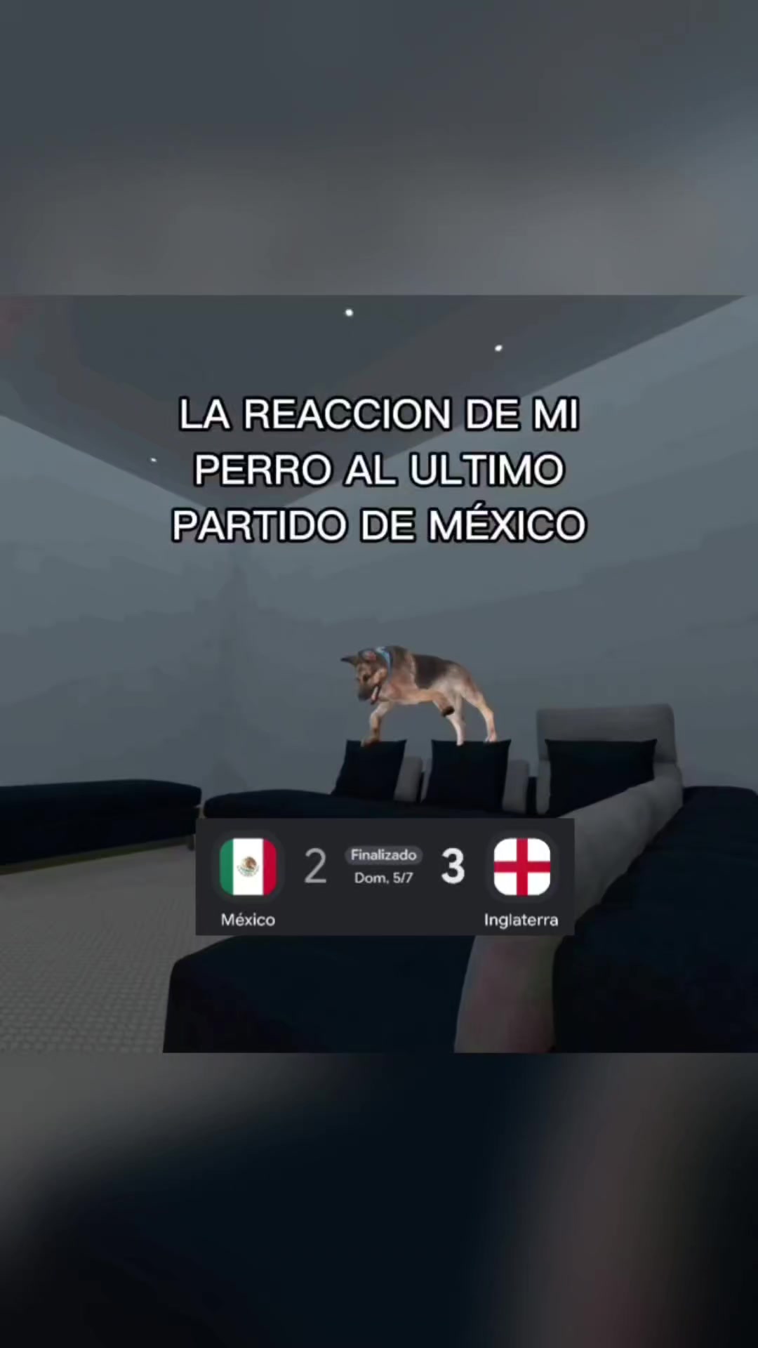 @BolilloVR