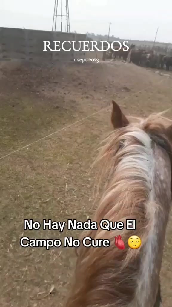 @Luu👄