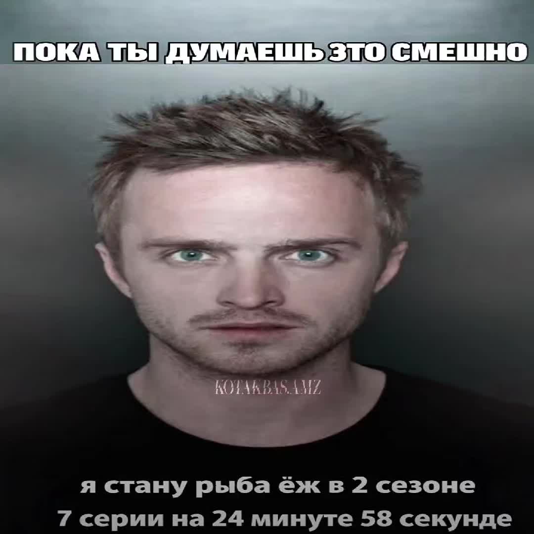 @𝑲𝑶𝑻𝑨𝑲𝑩𝑨𝑺.𝑨𝑴𝒁