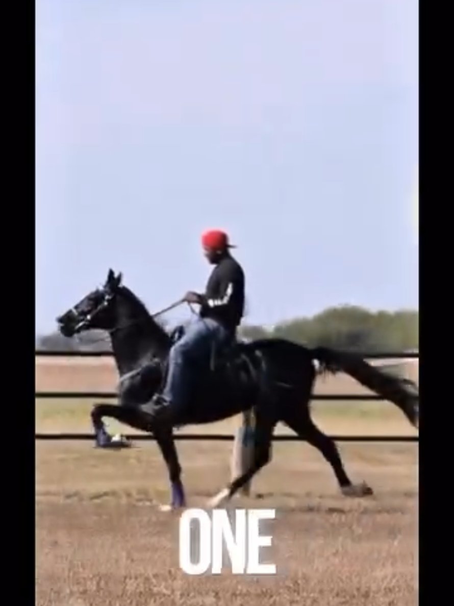 @Black Cowboy Coalition