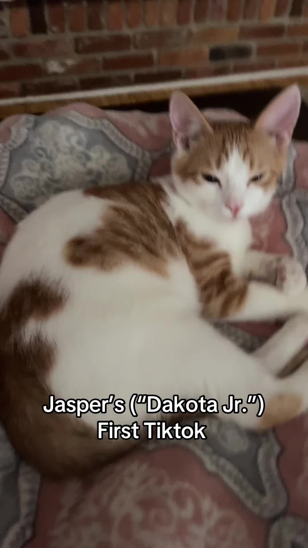 @Grayson Clark 🐈🍩