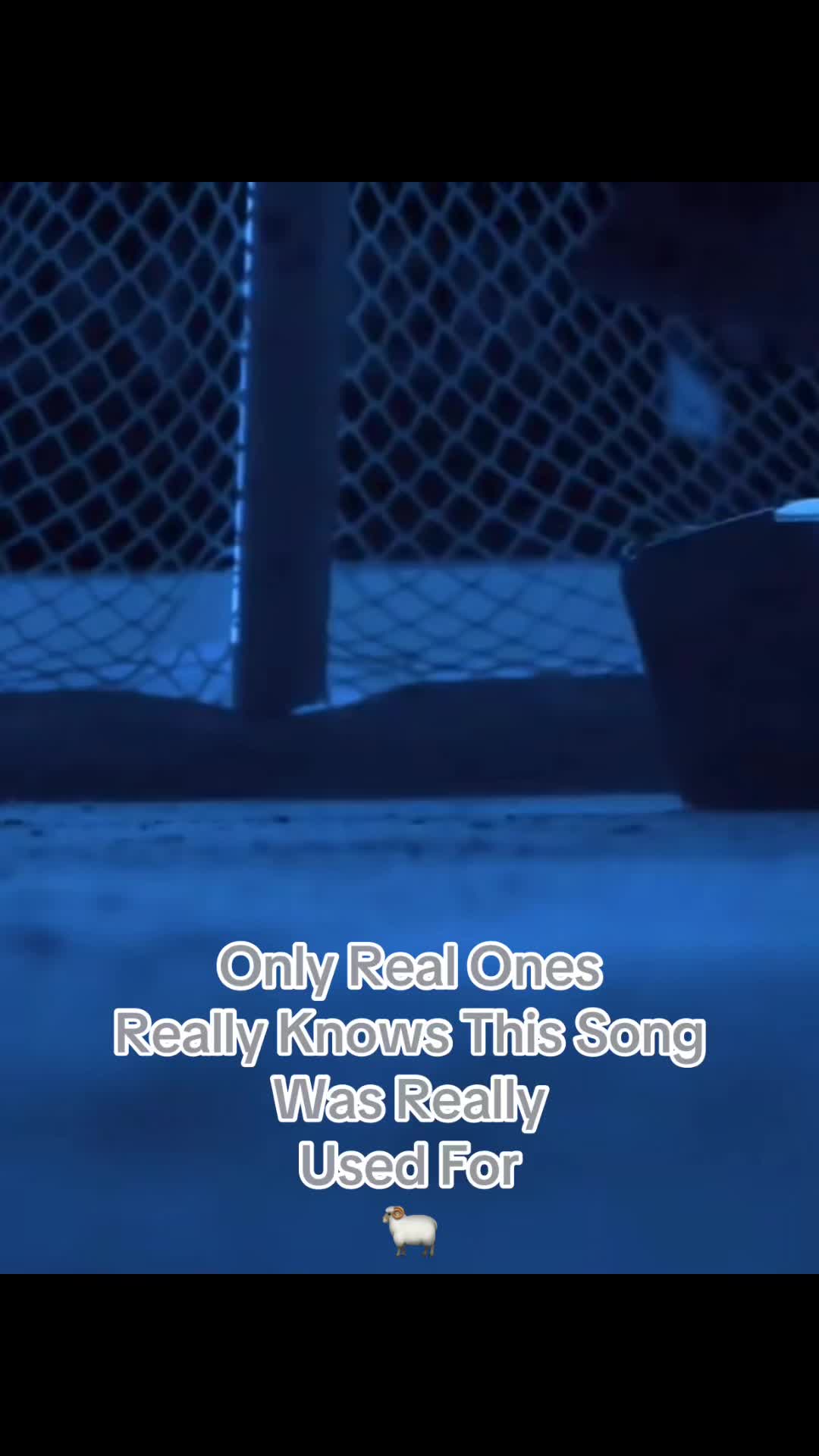 @Rae-๐๐ค๐