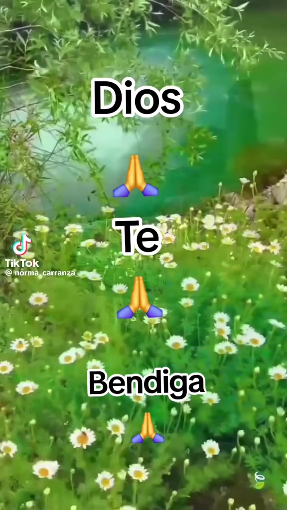@ileanalopez18