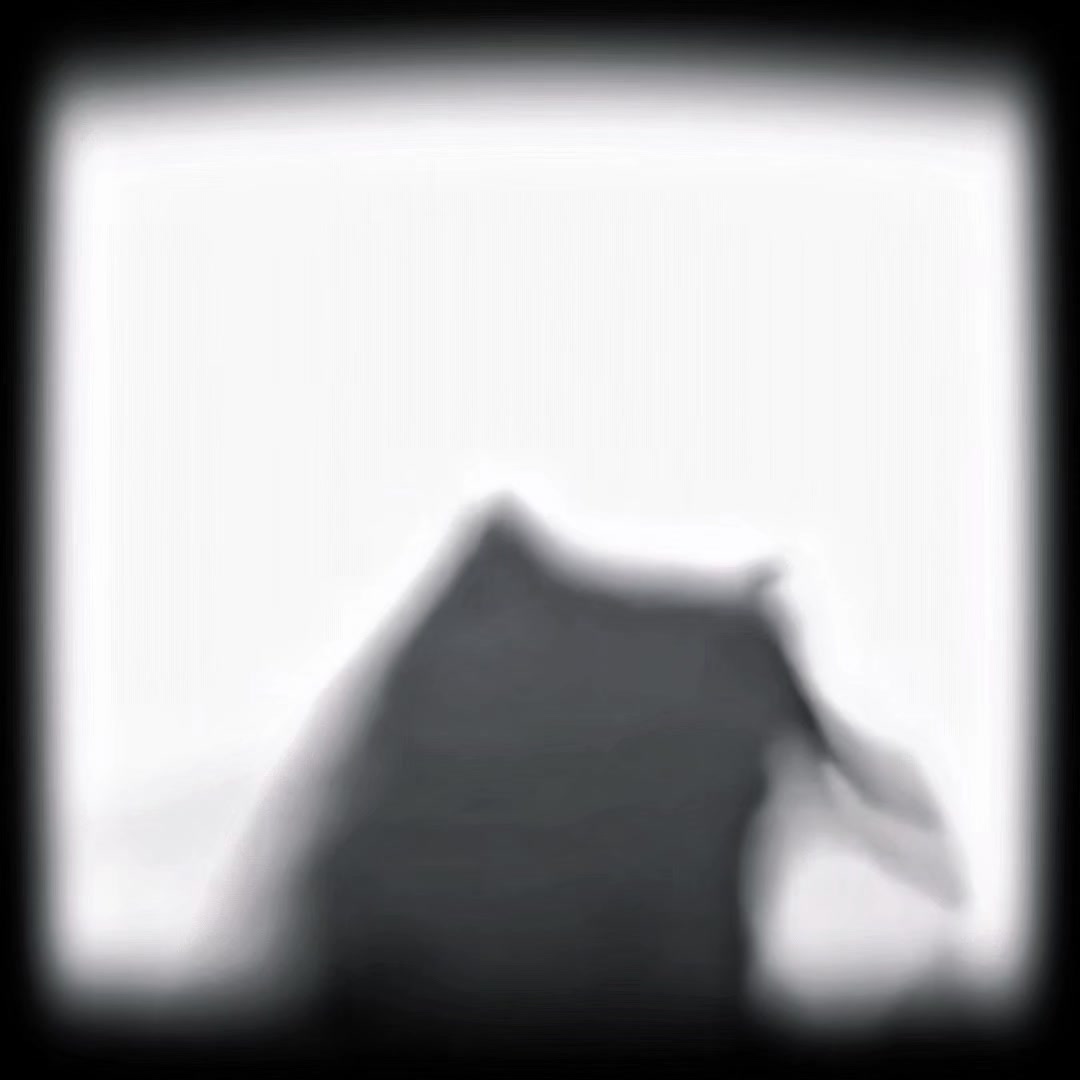 @𝐍 𝐎 𝐕 𝐀 &bull; 𝐅 𝐗 🕸️