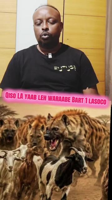 @CIISE GALMUDUG📸TV📺JAXAF JXAF