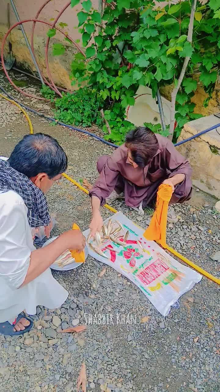 @ShahbazKhan