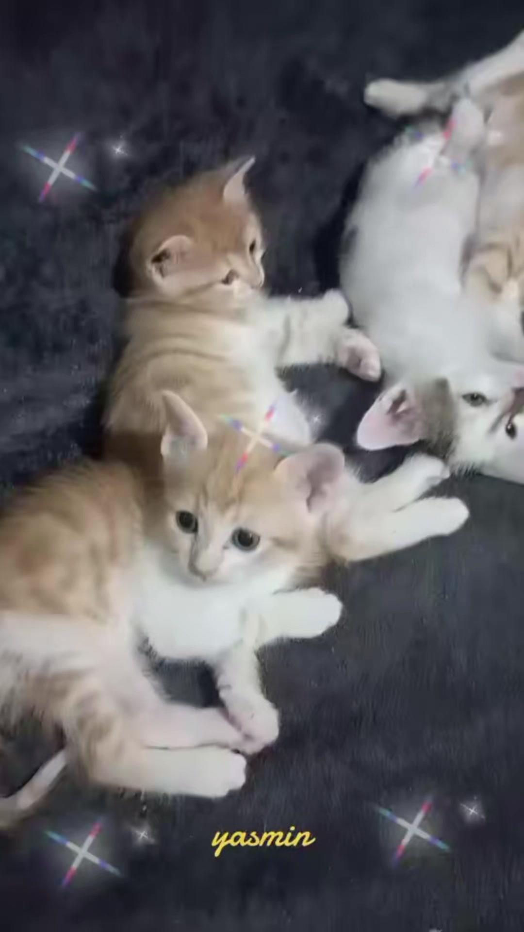 @babasının delikızı😉😁