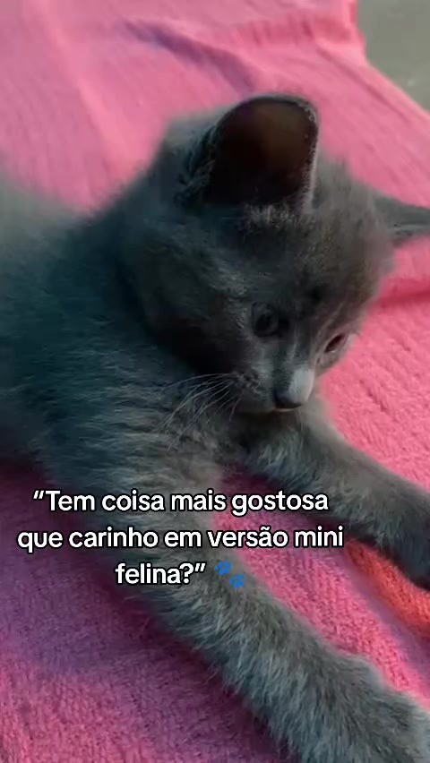 @taty_2803