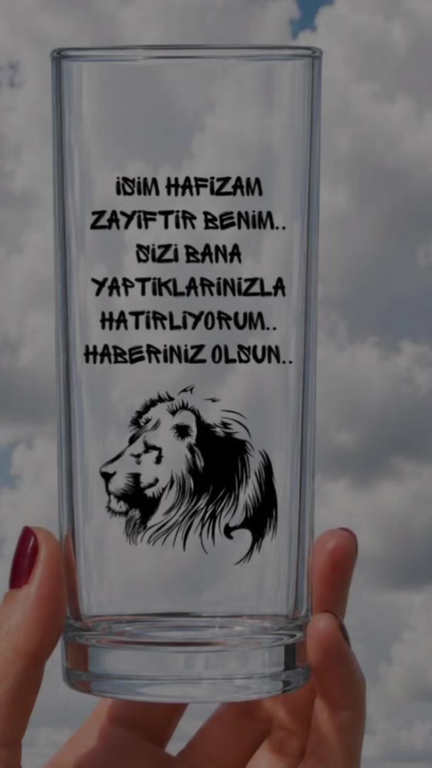 @Nurcan Eryigit