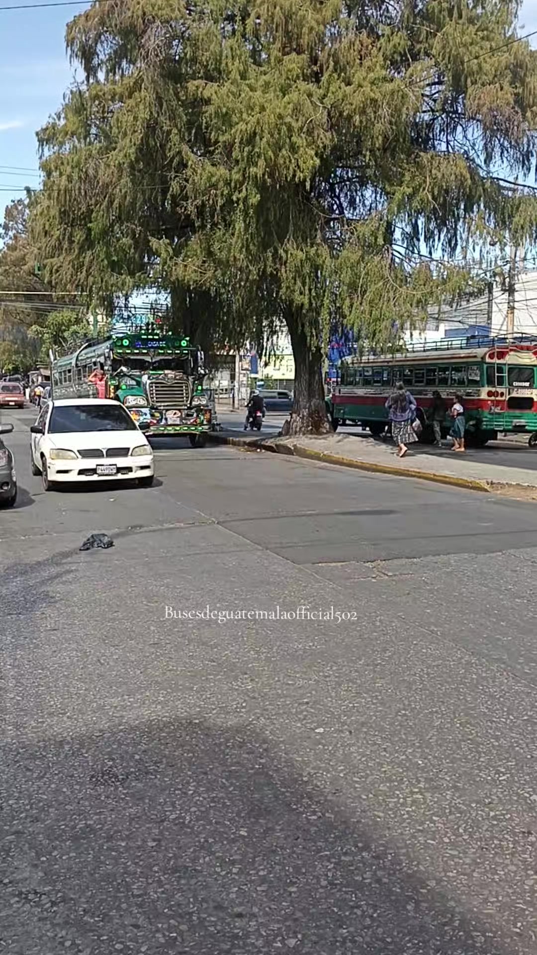 @BusesdeGuatemalaOfficial🇬🇹