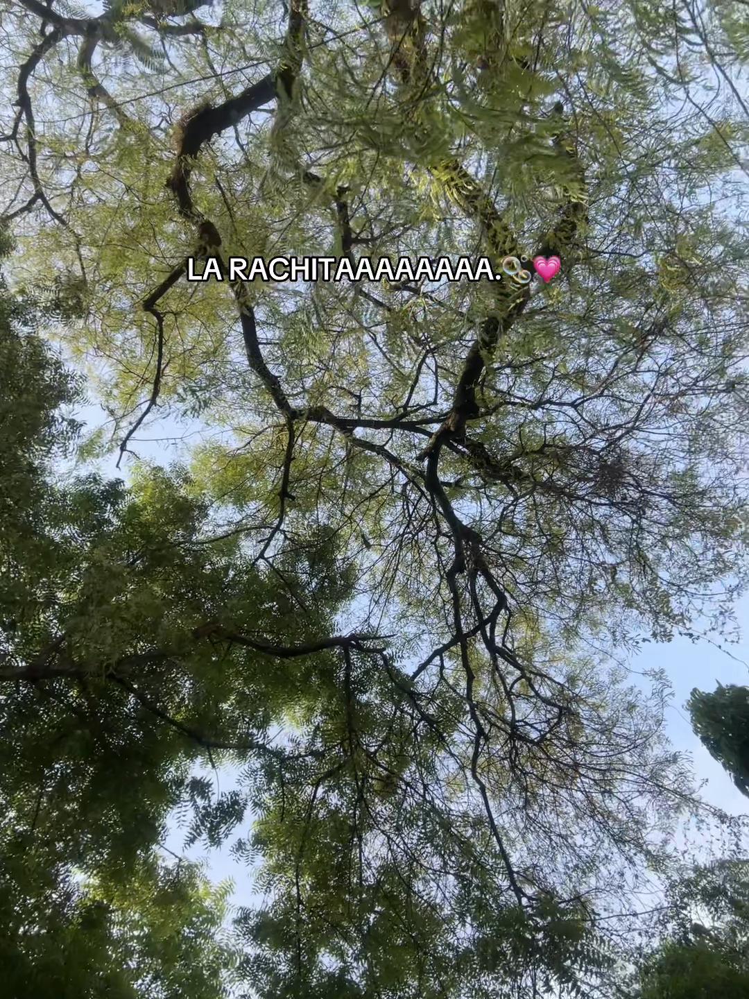 @ 💎ᴠͥɪͣᴘͫ⌯⌲𝒥ℴ𝓈𝓊é5.04 🏝️