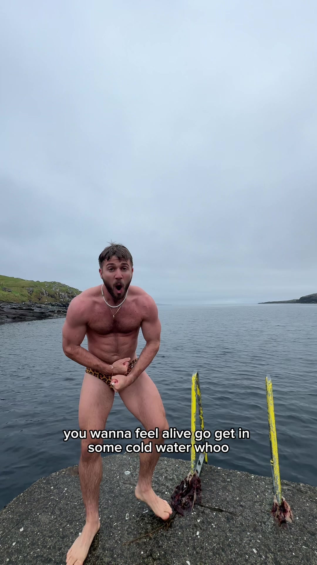 @newysworld