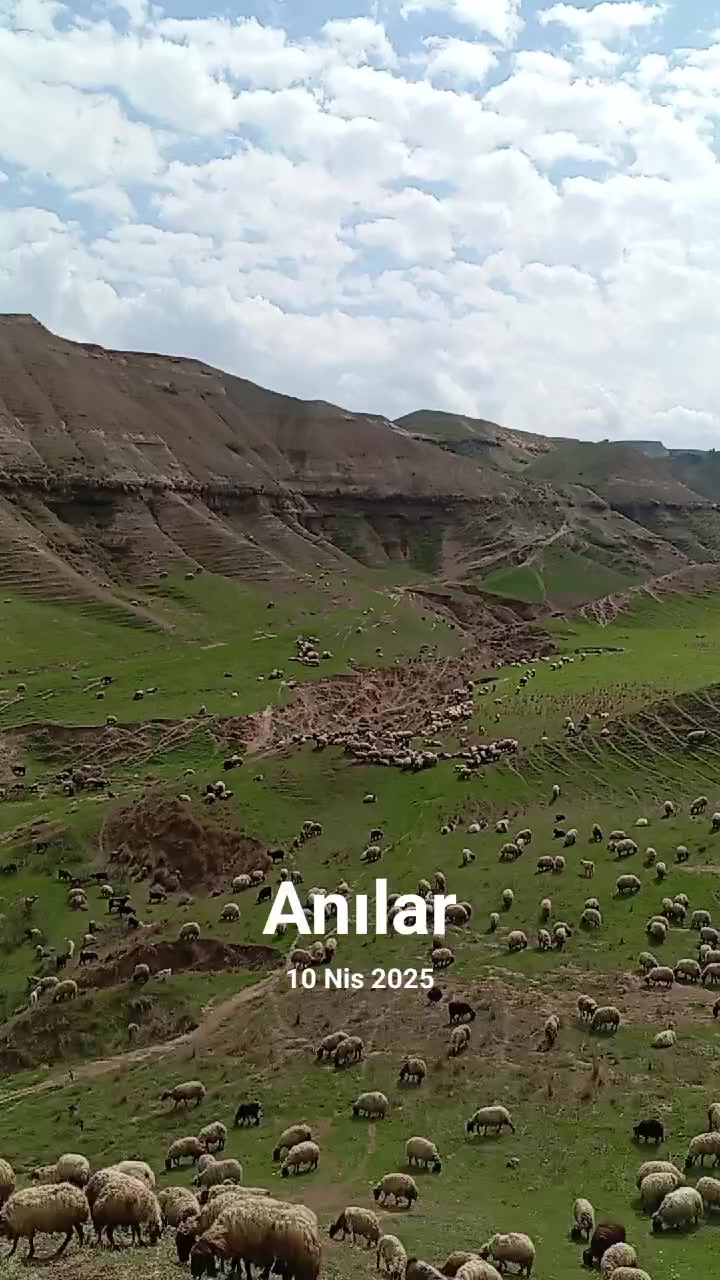 @Eyyüp Demir 72