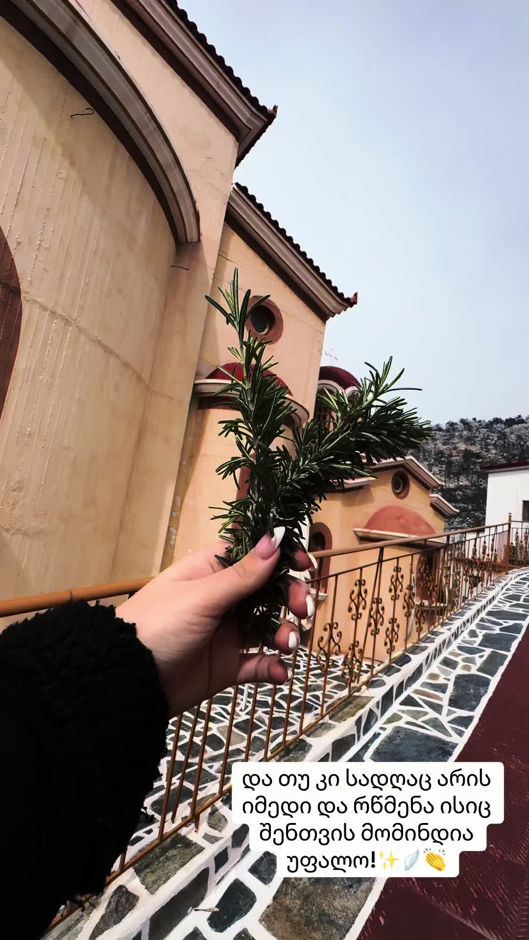 @Μαύρη Γάτα 🐈⬛ 🇬🇷 🇬🇪