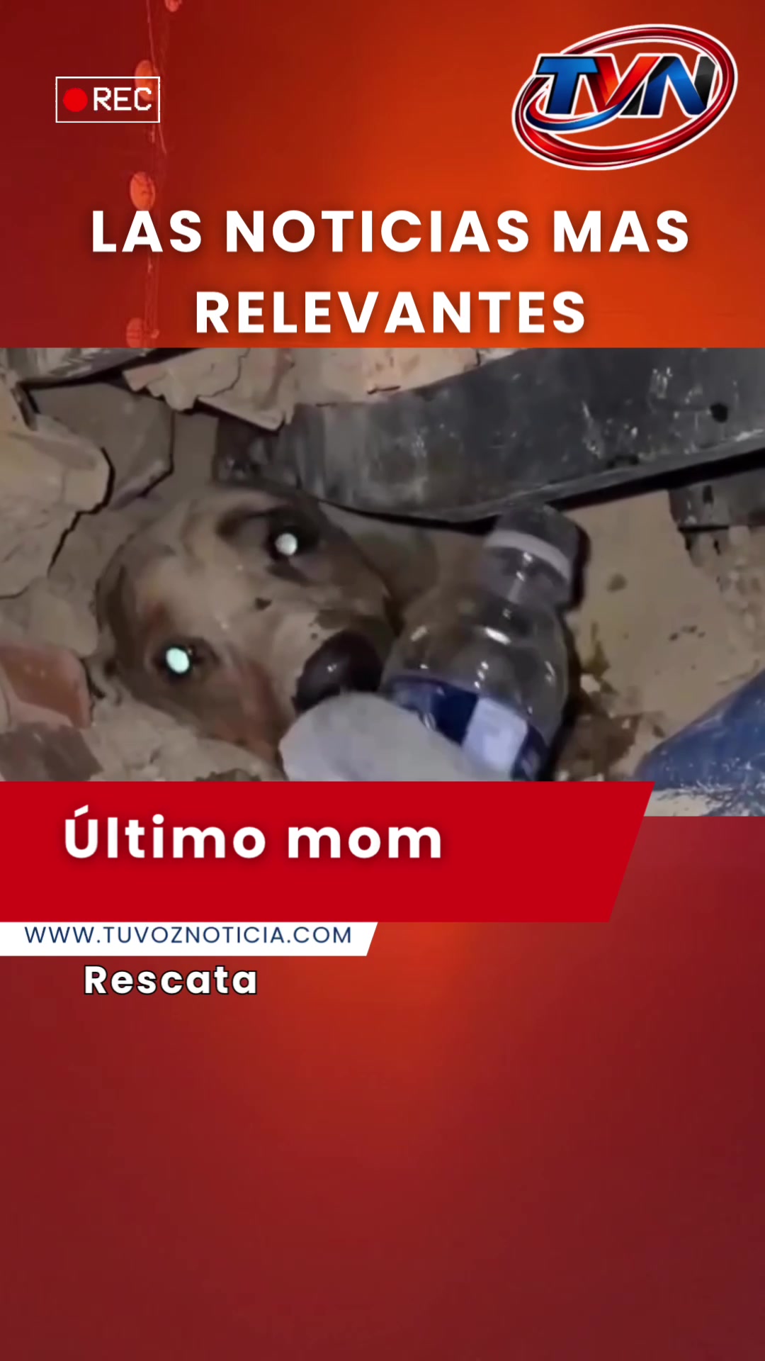 @Tu Voz Noticias