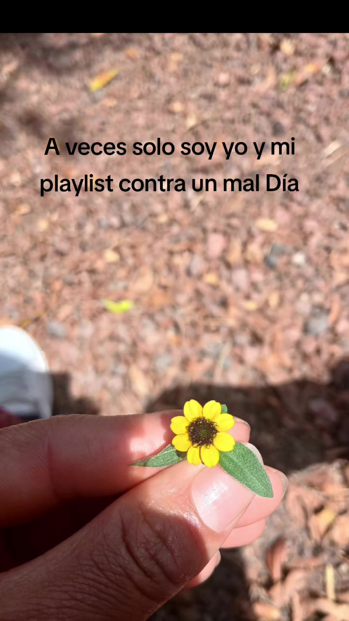@⚘️Sam✨️