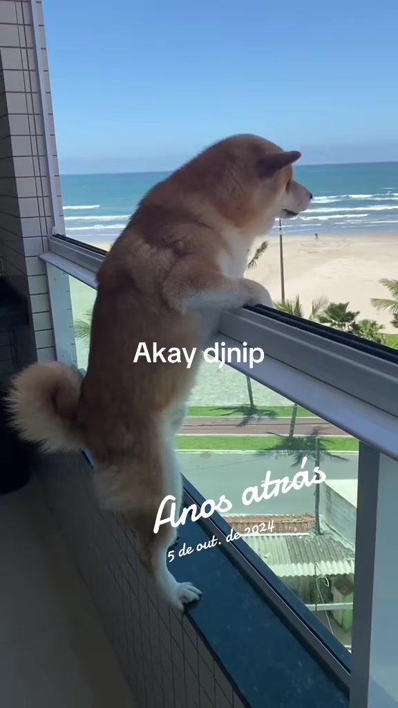 @Dj Nip