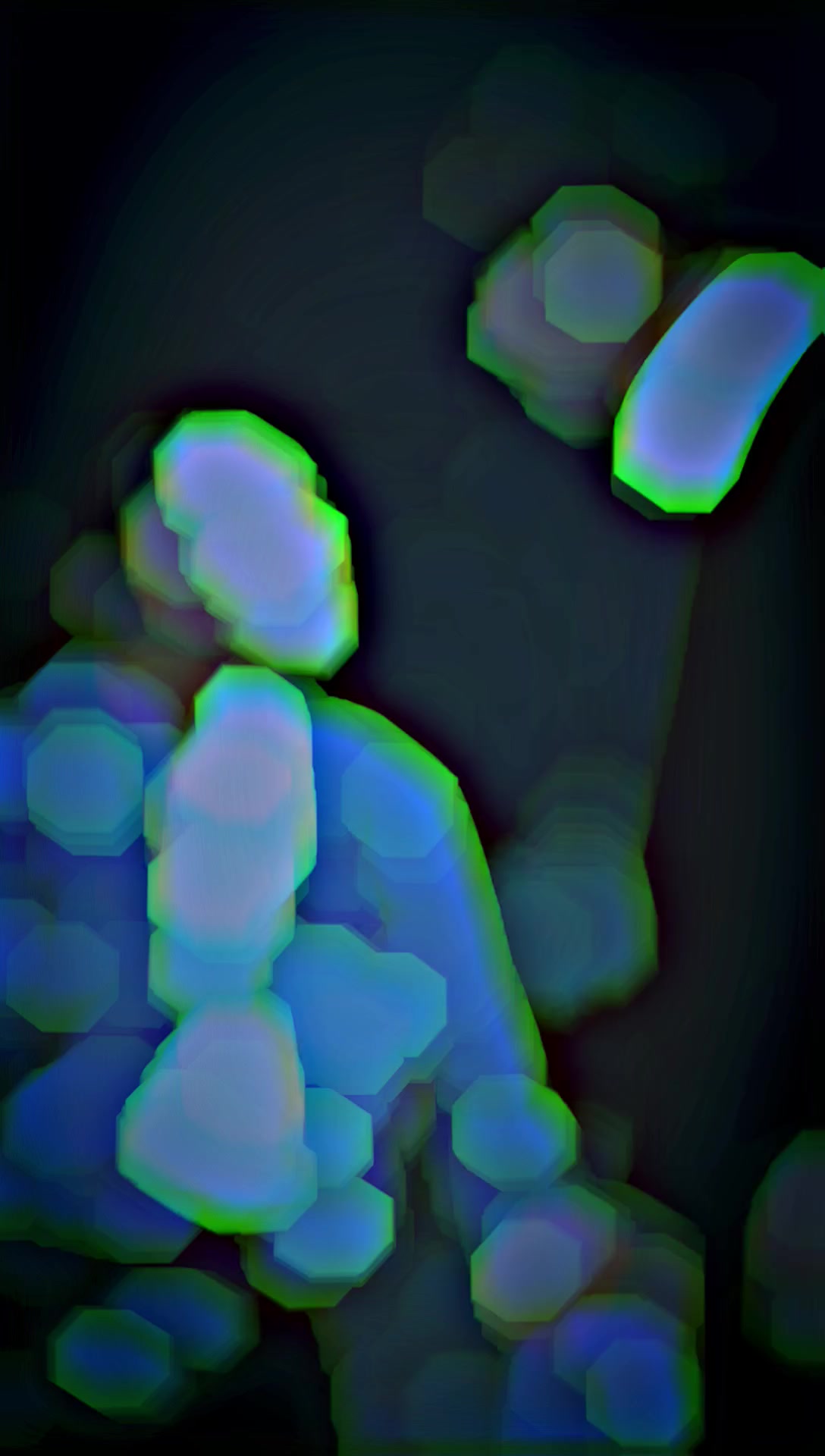 @ツcαllツ