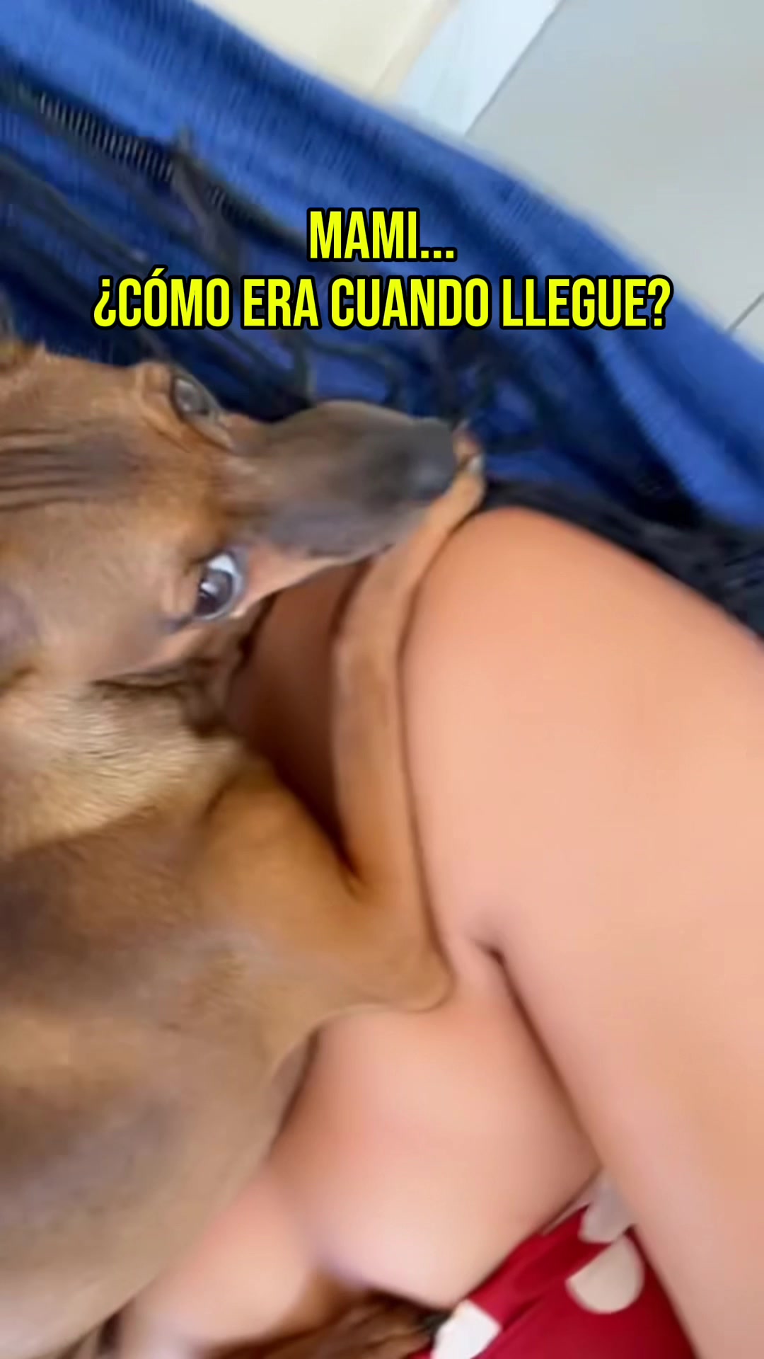 @🎀Alejandra Yaguas🎀