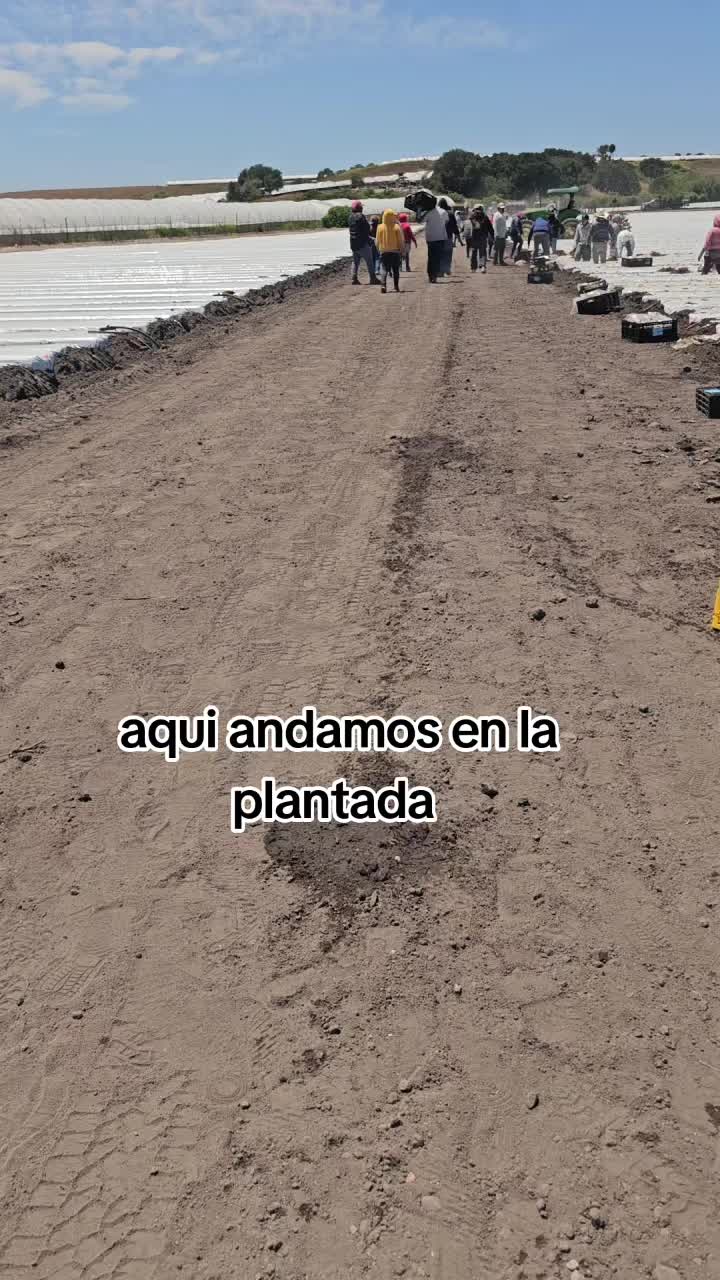 @🇲🇽🐦⬛🪺VASQUEZ🚚🌪💎