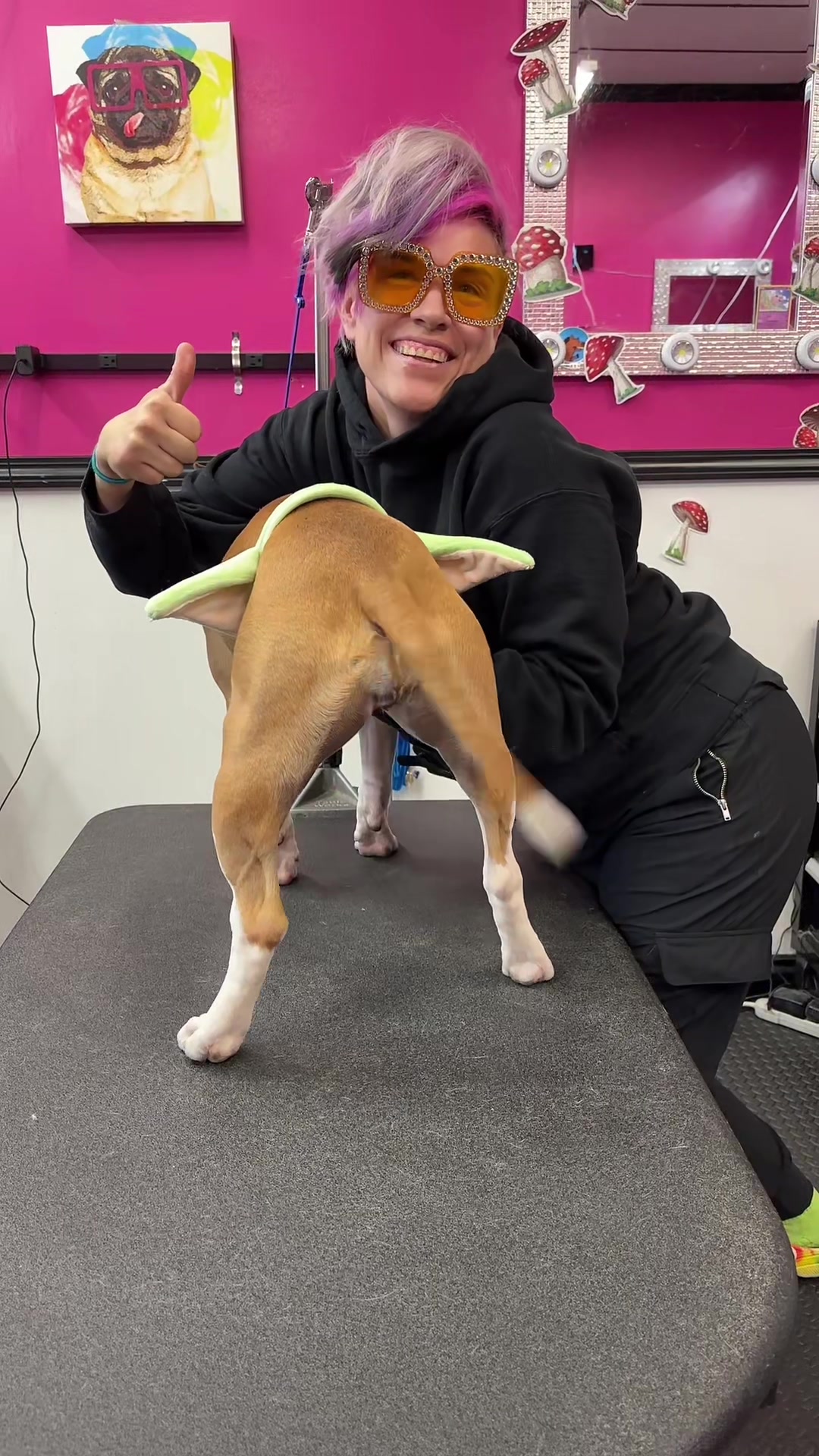 @Furbabies Grooming
