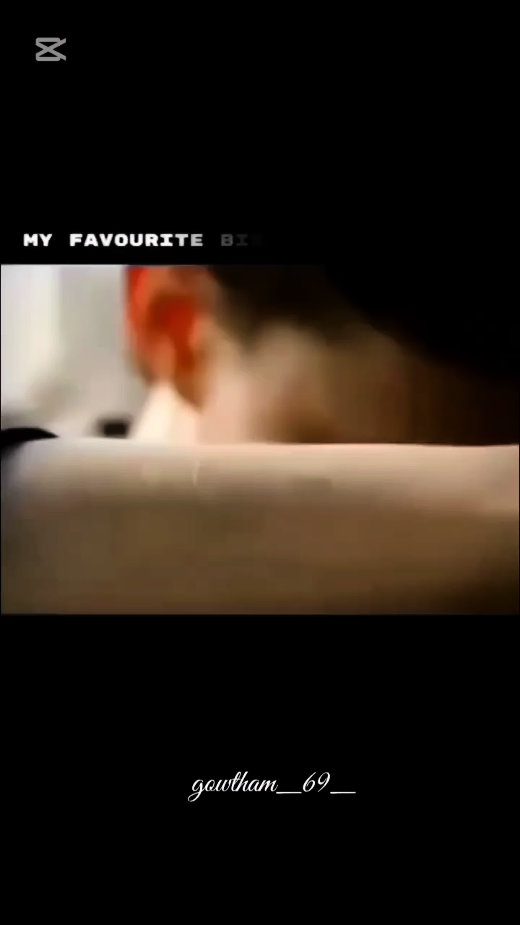 @๐๐ฟ๐๐๐๐๐๐๐๐๐ค
