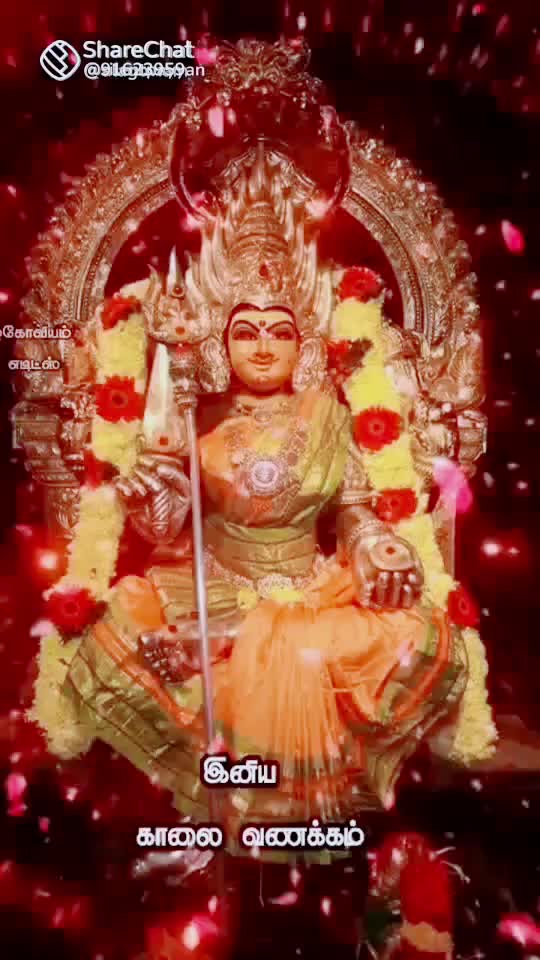 @N.Rajesh