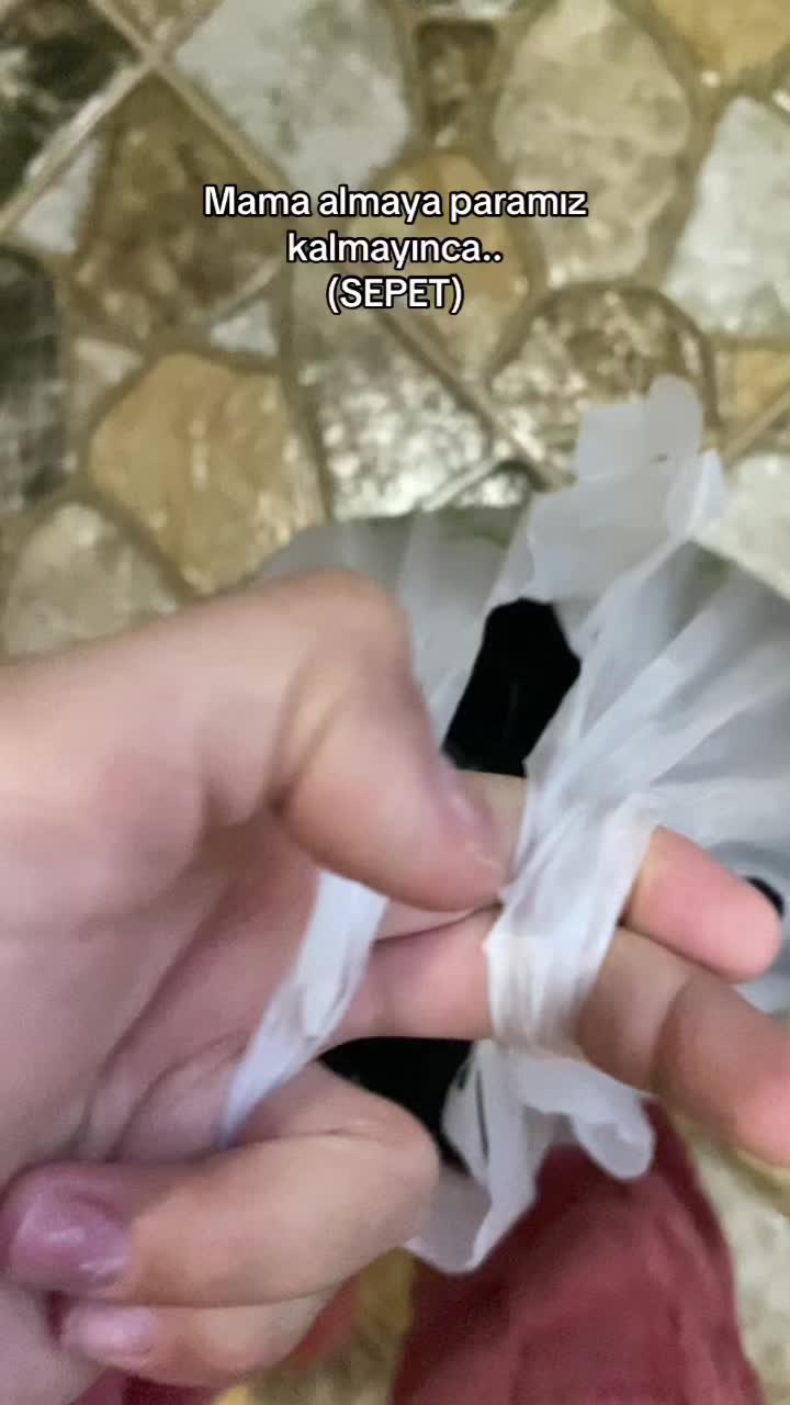 @Mimi