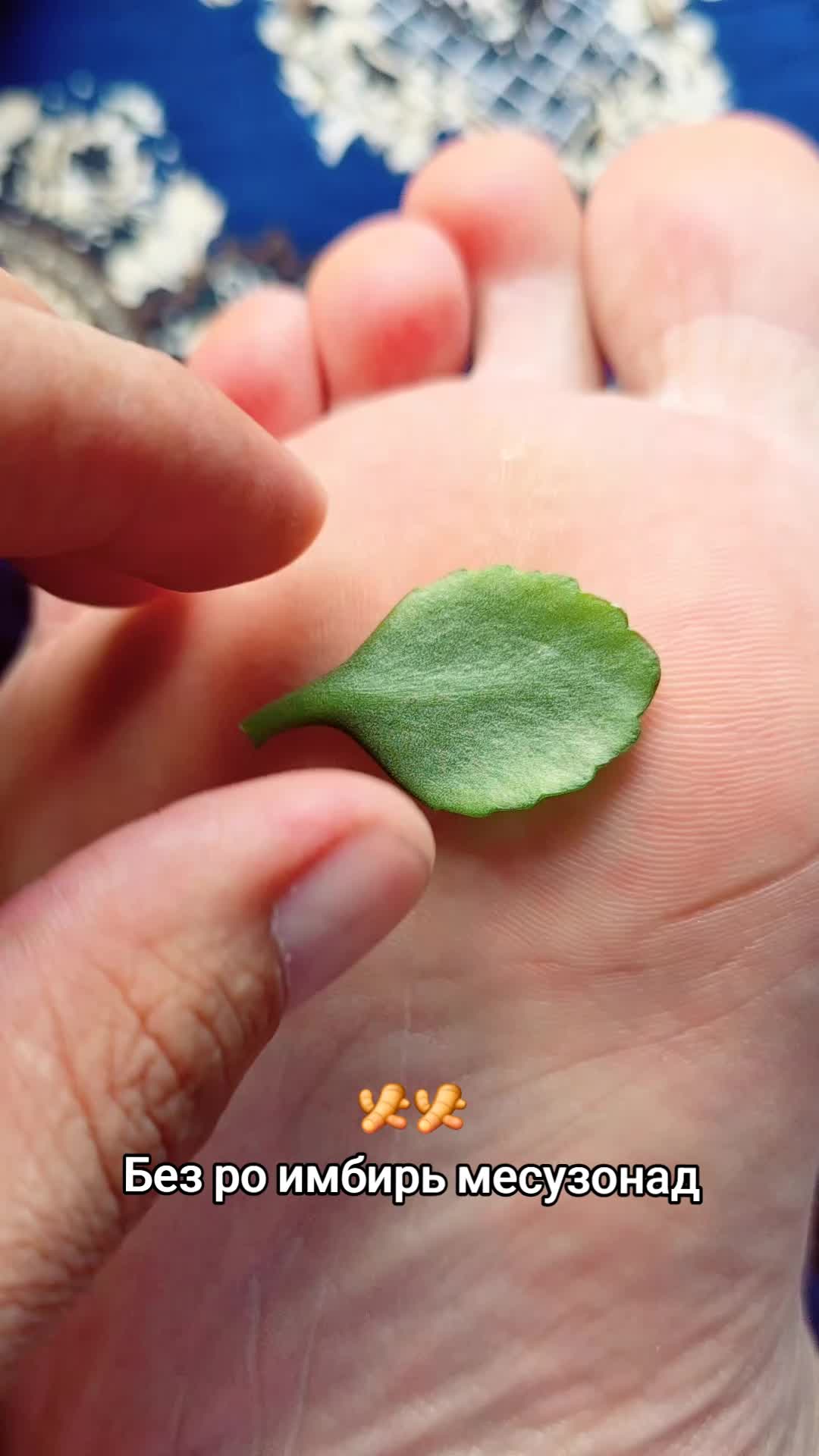 @Gulomjon 93 💎