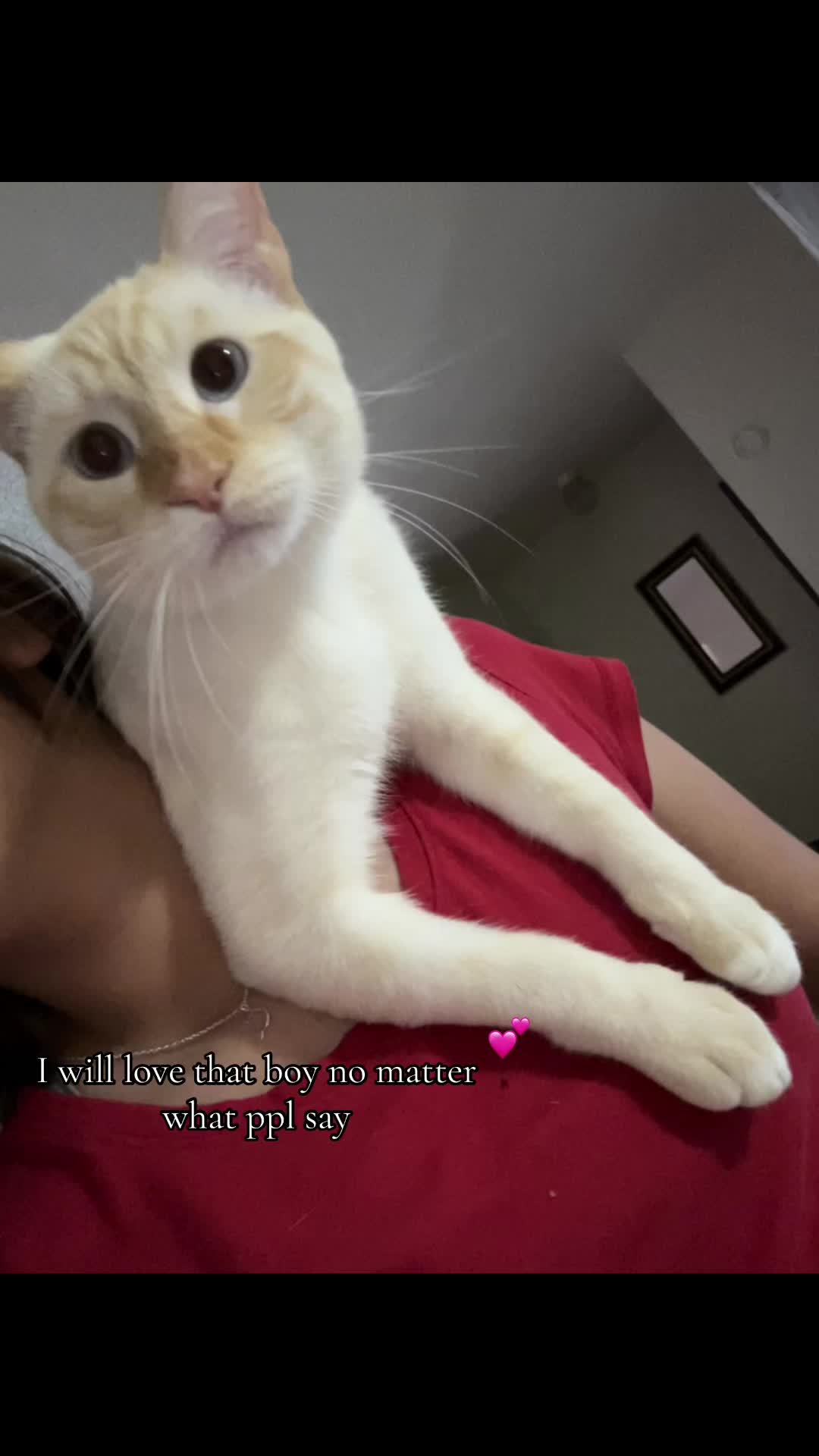 @.💕